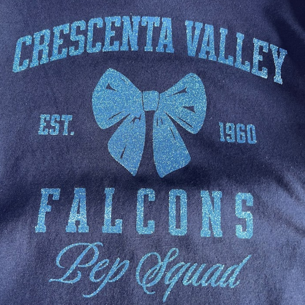 Close-up of blue glitter Falcons pep squad screen printed design